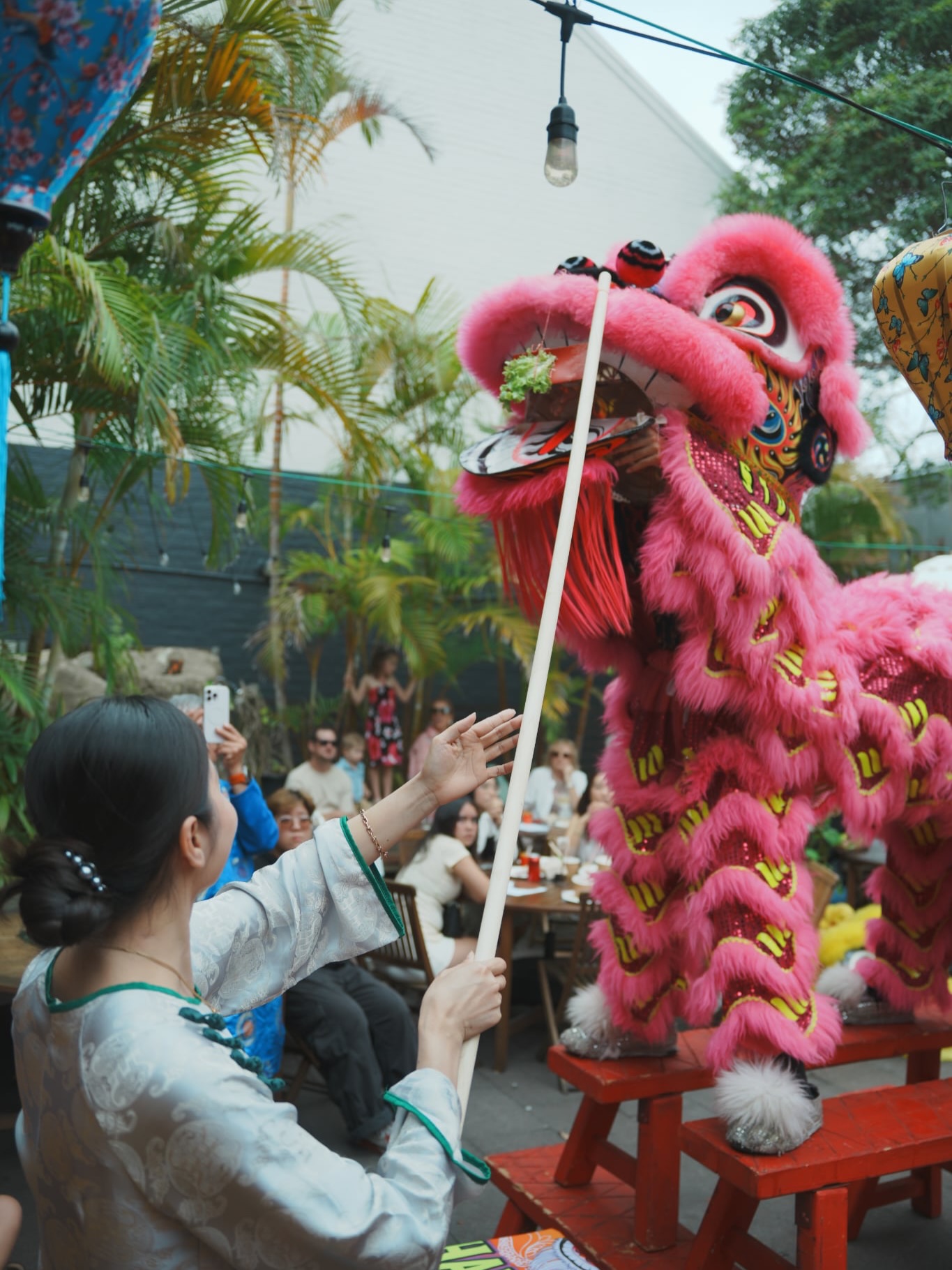 NEW - NEWCASTLE HERALD - 'Meaningful for us': Newcastle brings in Lunar New Year early at VietKing